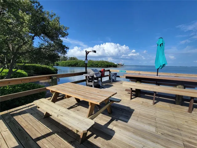 BBQ grill on the dock