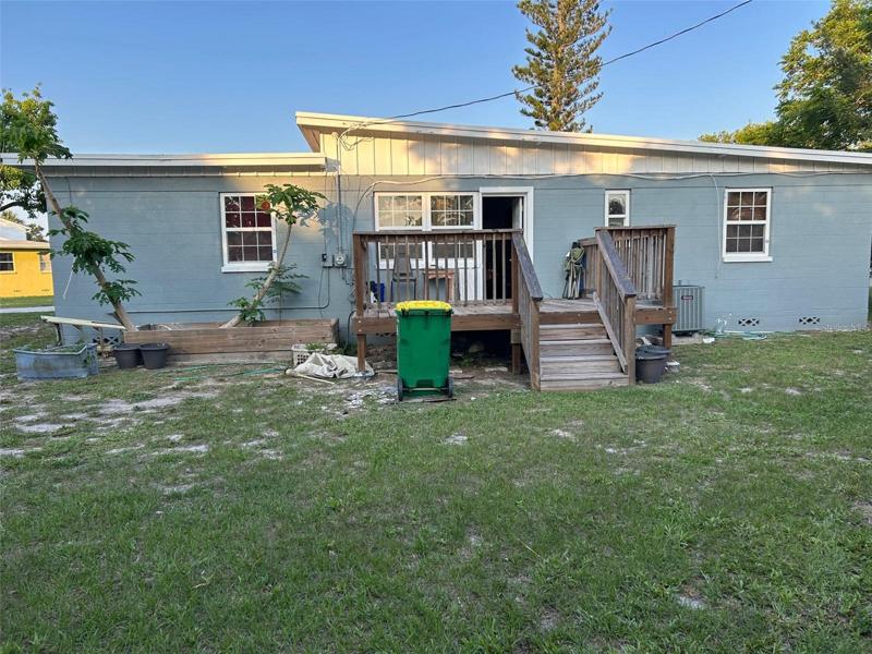 back yard