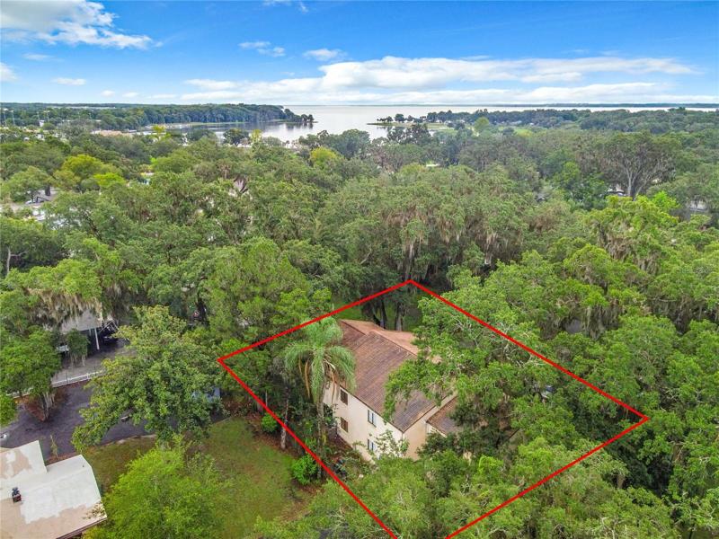 Ariel view w/property line reference