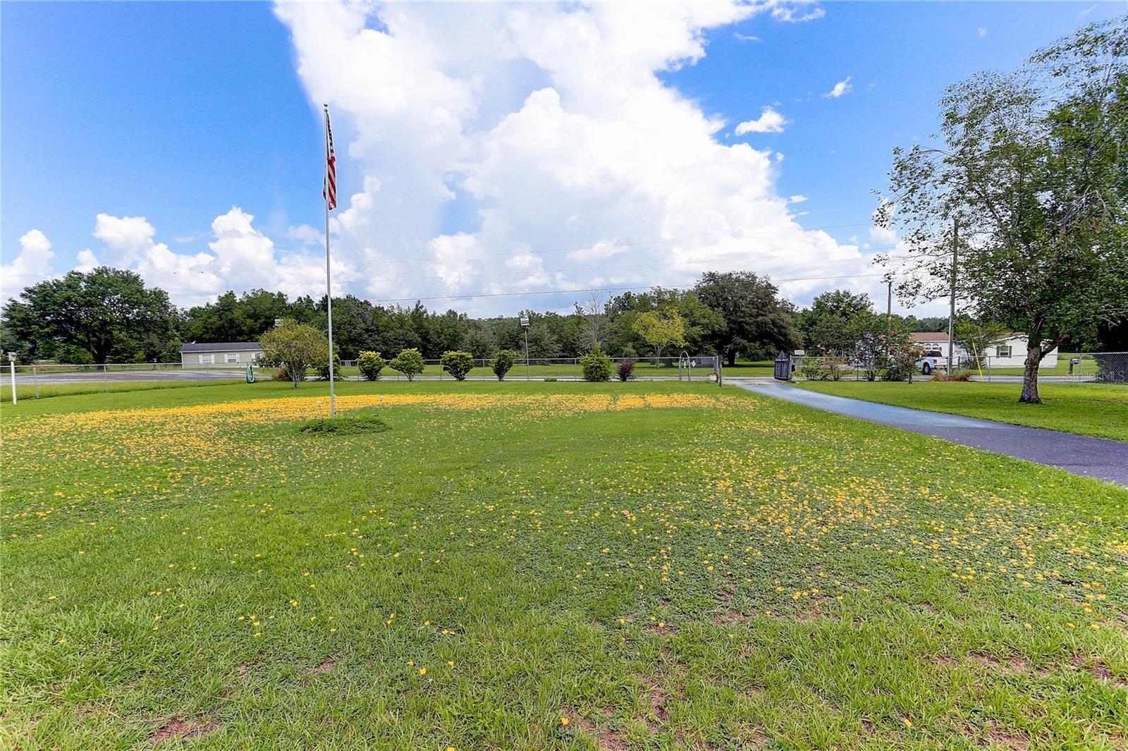 Front Yard