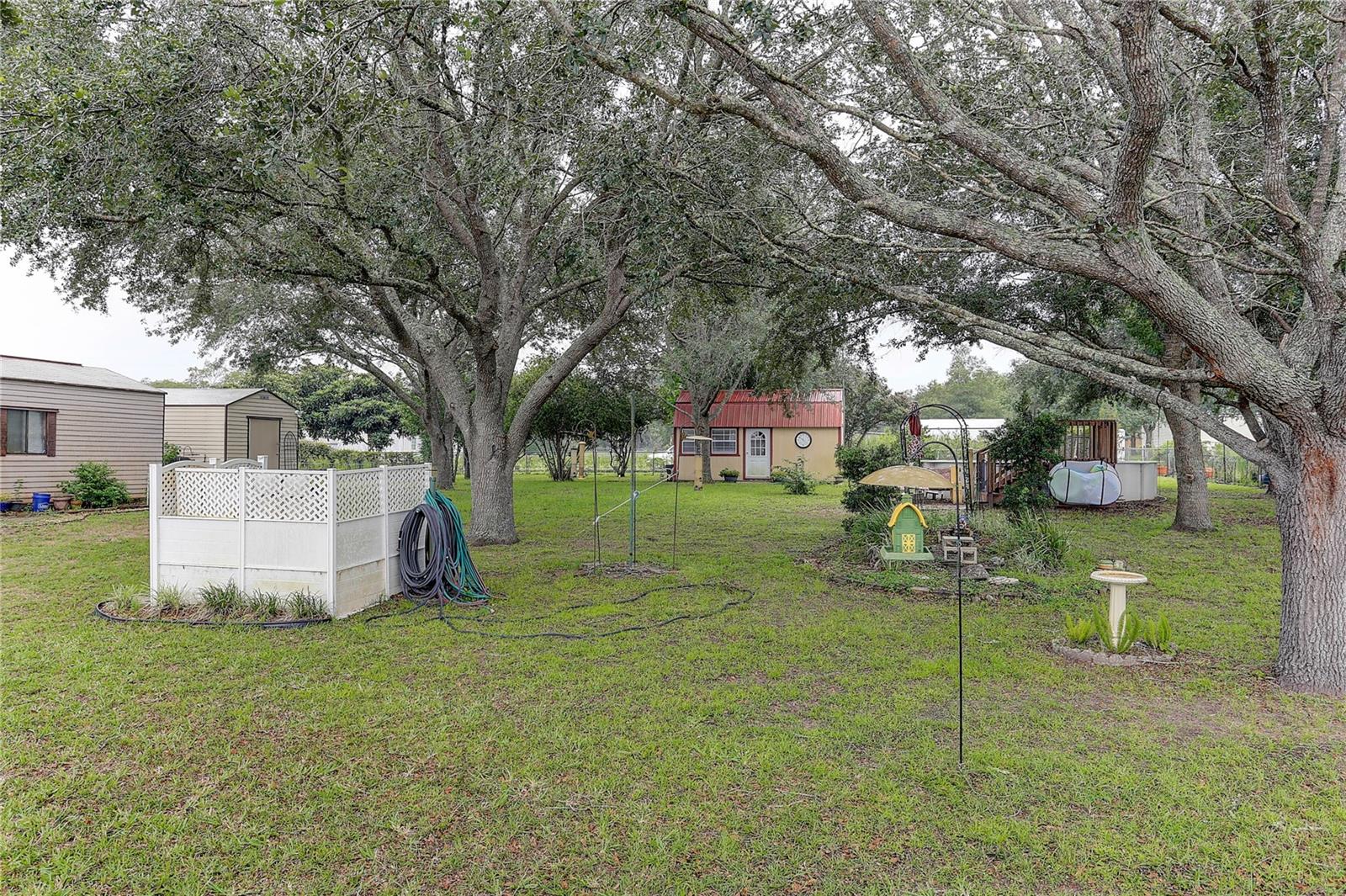 Backyard