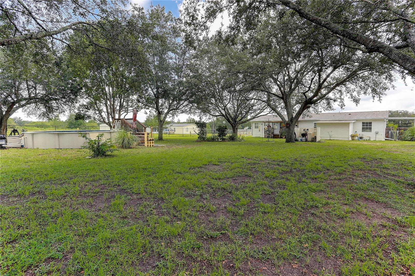 Backyard