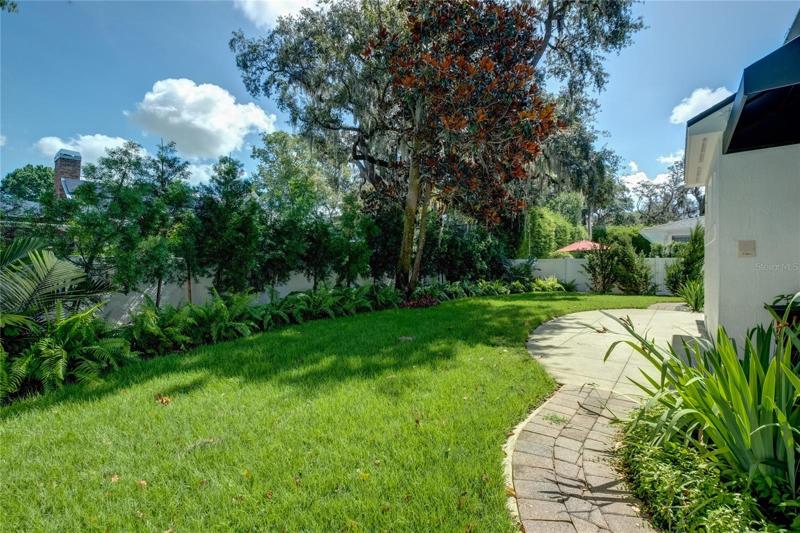 Back yard