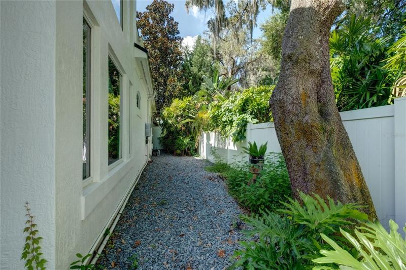 Side Yard
