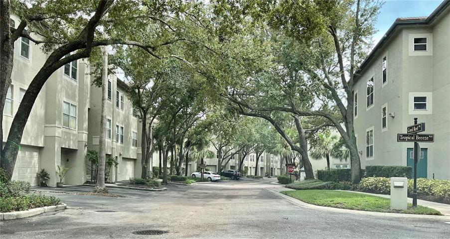 Shady Sidewalks