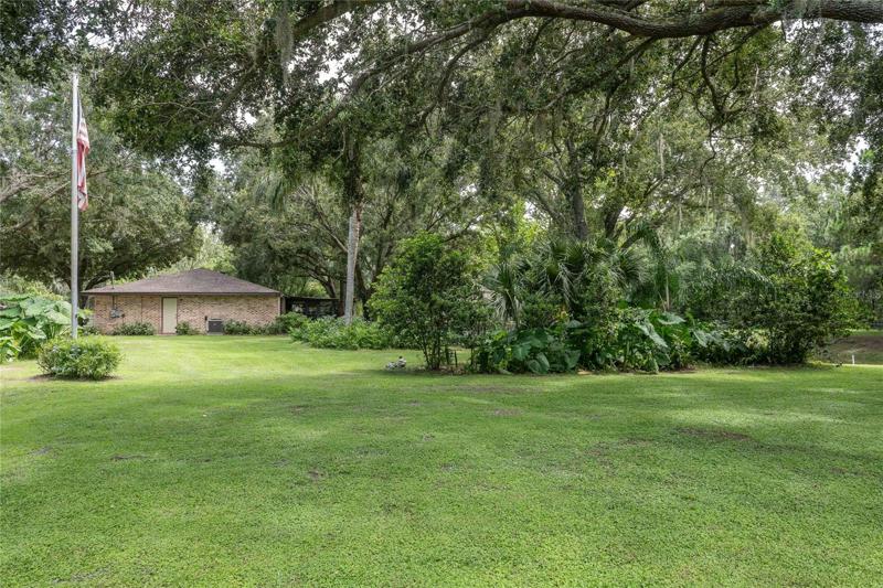 Side yard with lush landscaping and mature trees