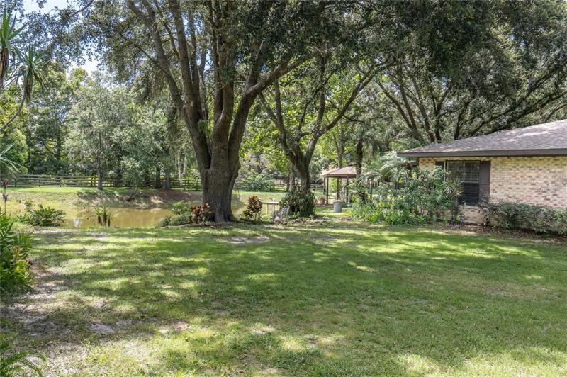 Side yard left of house