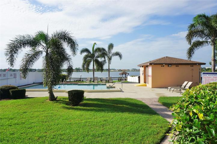 Community pool overlooking Lake Dexter