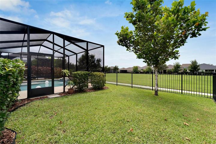 Fenced in grassy yard.