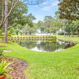 Rear pond view