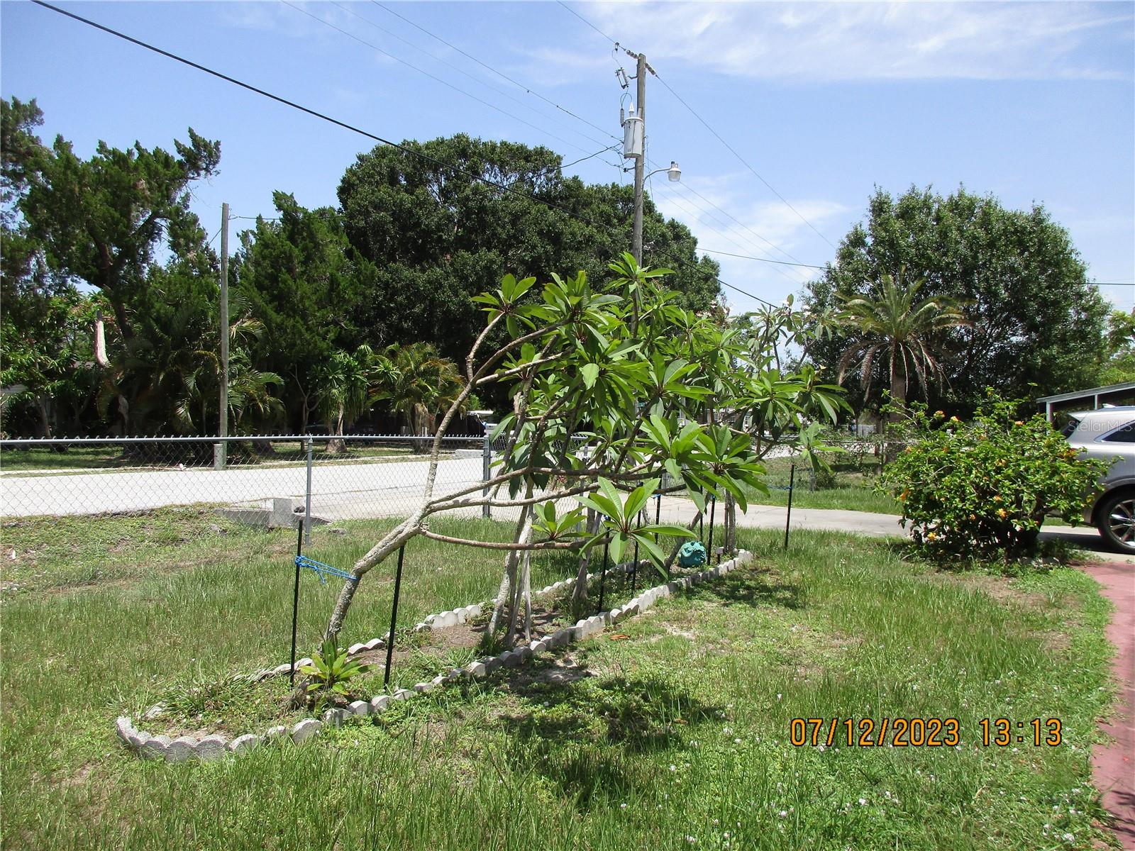 PLANTINGS FRONT