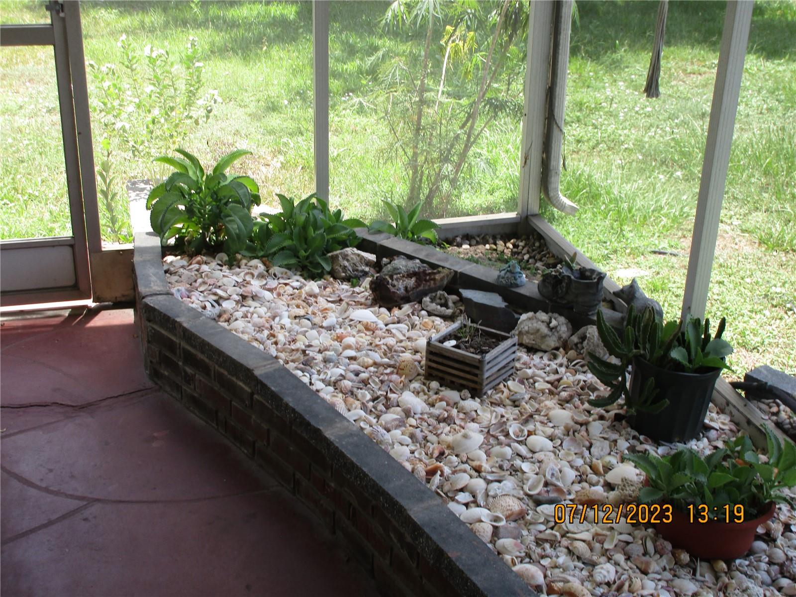 SHELL GARDEN