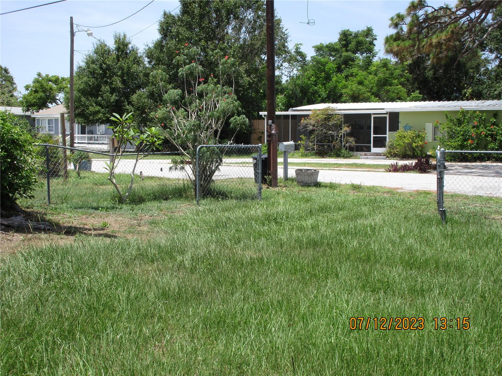 FRONT YARD-DRIVEWAY