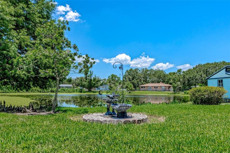 Fountain and Water View