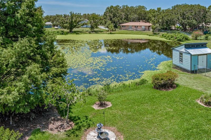 Back Yard and Pond View