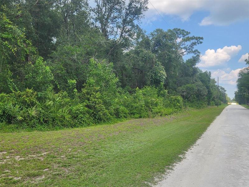 Wooded tract.  Save the trees you want but still have privacy