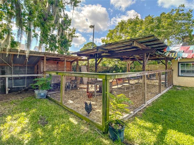 Perfect chicken oasis