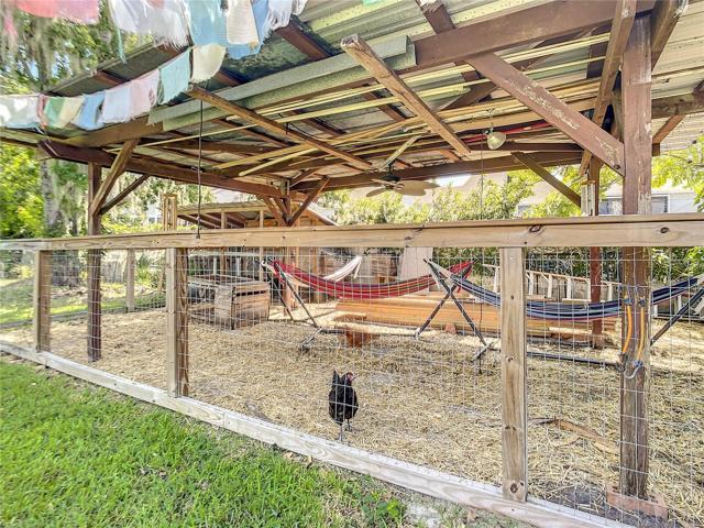 They even have a little chicken forest