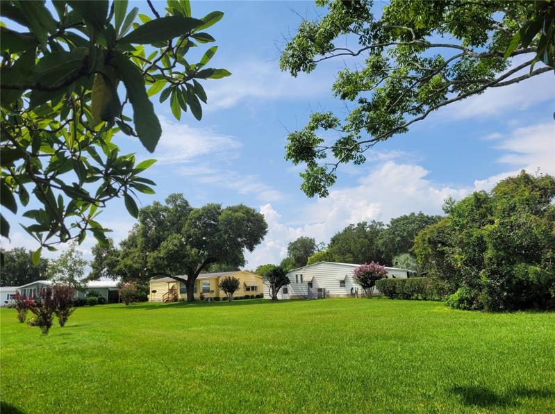 GREENSPACE BEHIND HOUSE