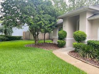 Front Walkway