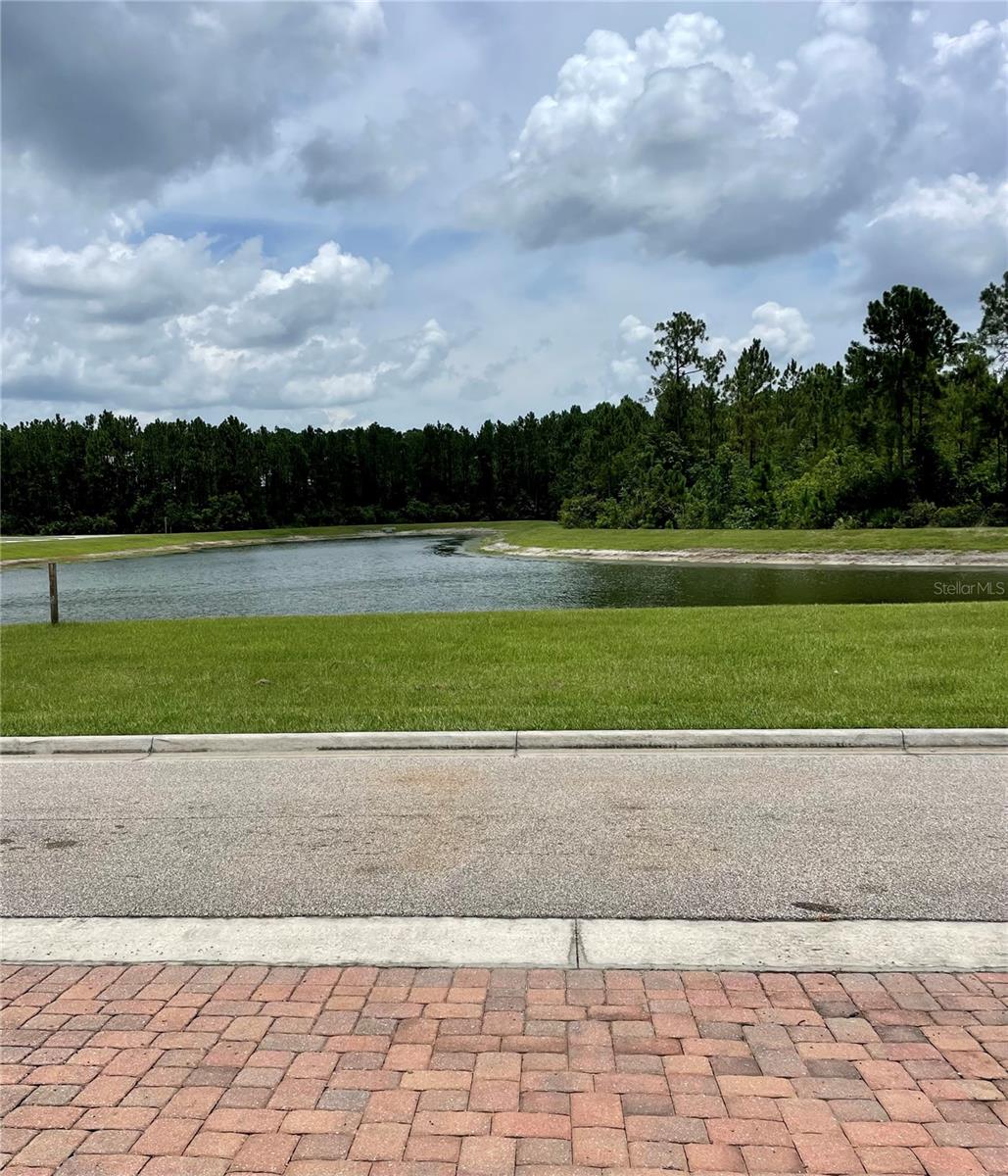 Peaceful Rear Pond View
