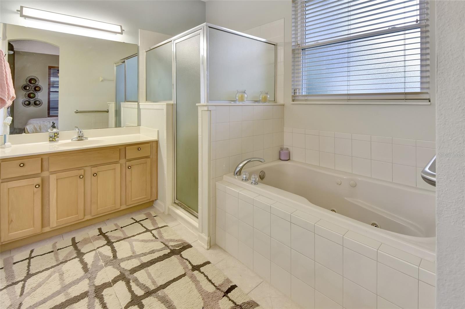 Master Bathroom-Split Vanities, Jacuzzi Tub &amp; Glass Enclosed Shower