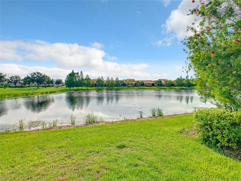 View of the Pond from the Lanai