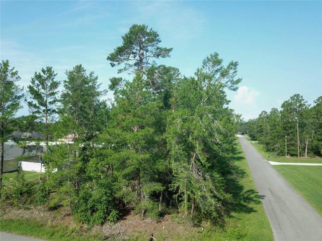 Side View of Aerial