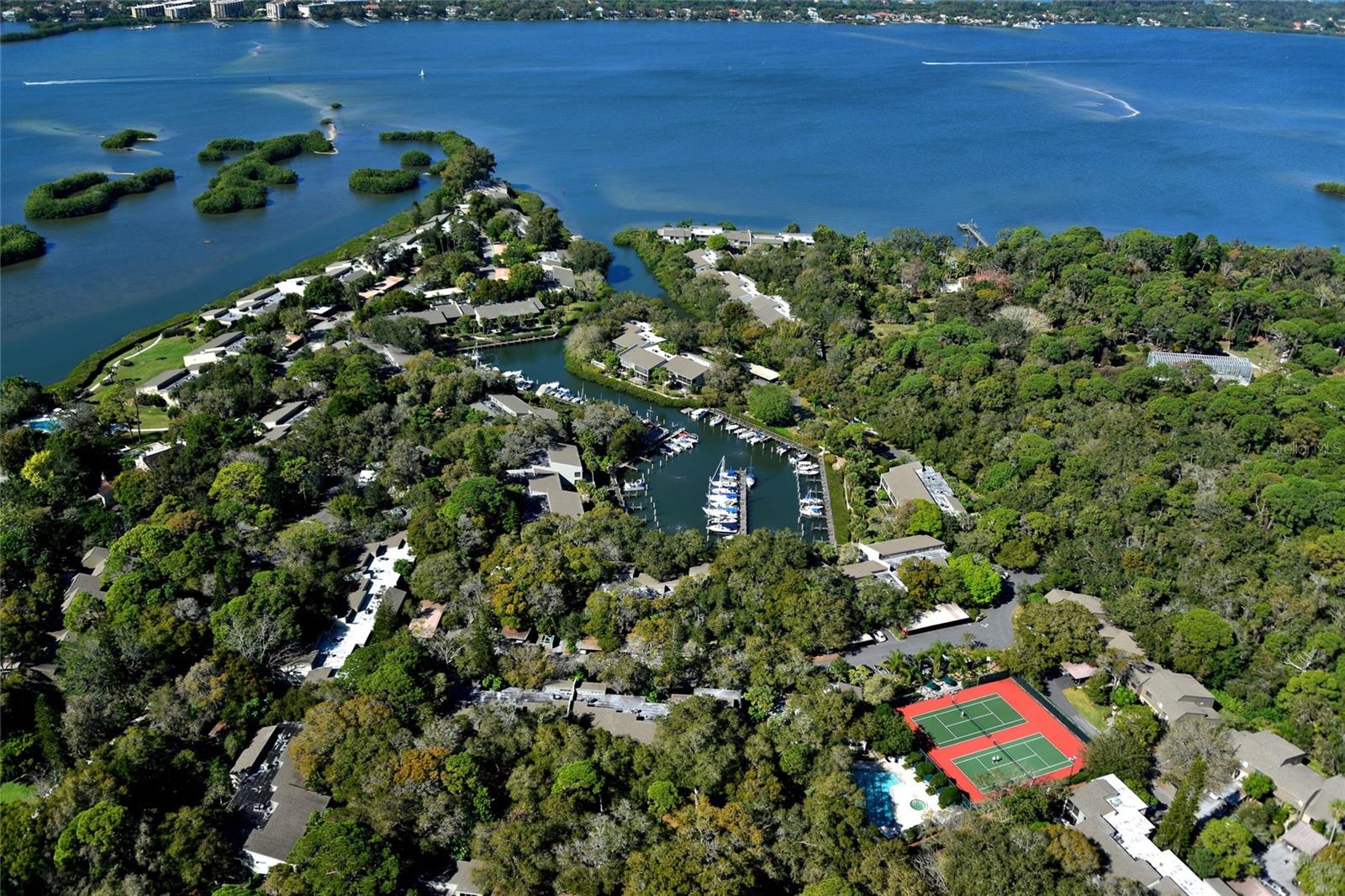 Sarasota, Florida 34231, 2 Bedrooms Bedrooms, 0 ,2 BathroomsBathrooms,Residential Lease,For Rent,PELICAN COVE,0,A4576890