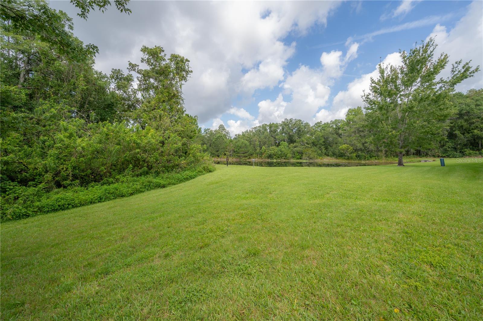 Pond and conservation view