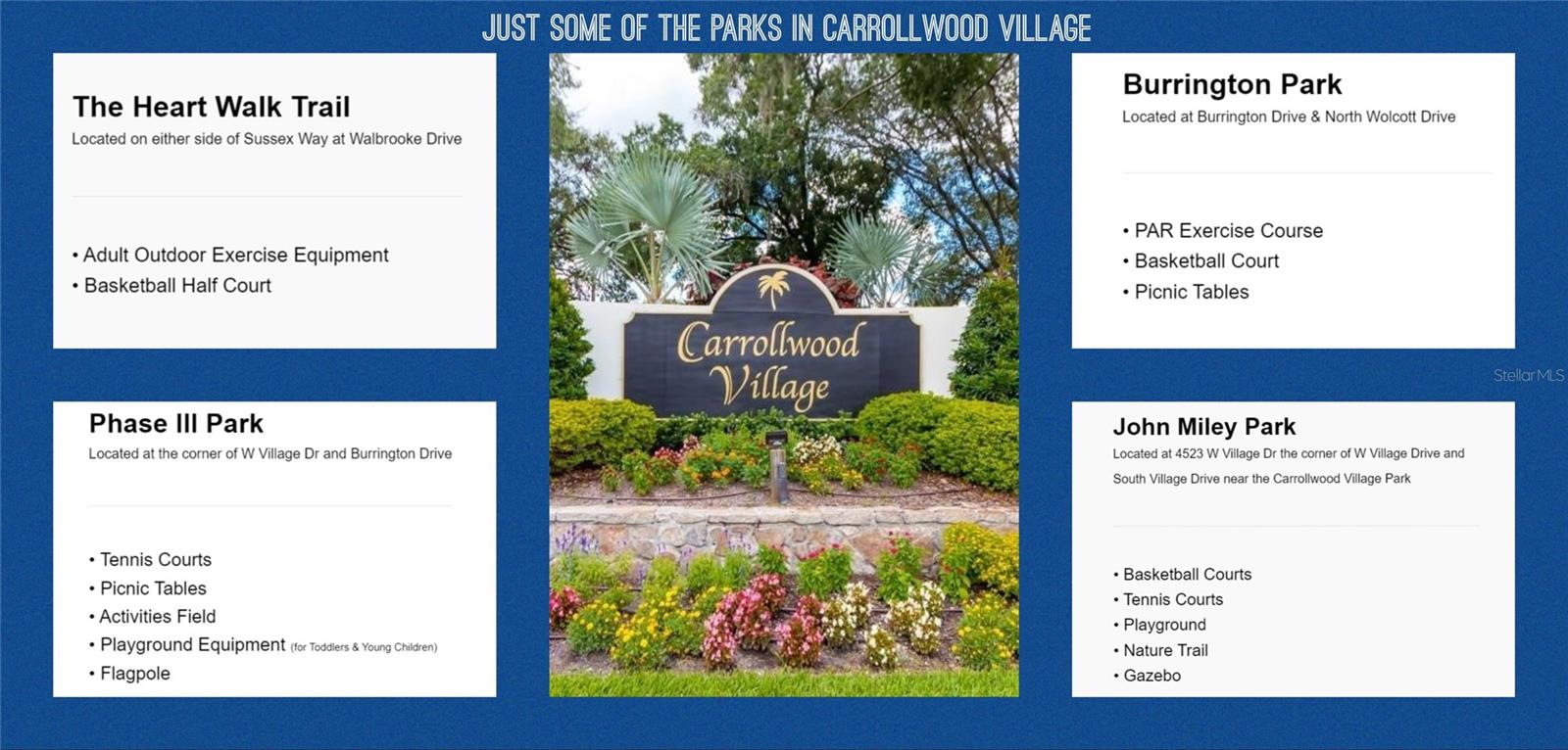 Just some of the Carrollwood Village owned parks for residents