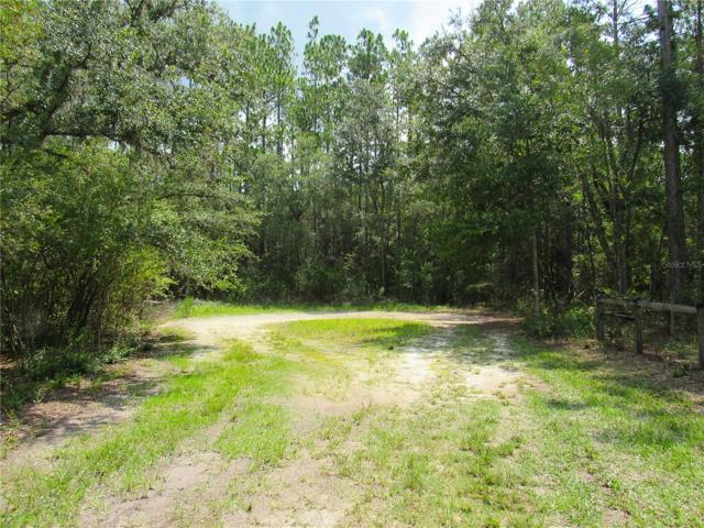 Beautiful New Construction Site Or Hold for Investment. 1.33 Acres Located On Cul-De-Sac in Ocala Highlands West Subdivision (Off Main Road 464 B Morriston/Ocala) Private and Peaceful With an Abundant of Wildlife! Build Your New Dream Home or Mobile, Manufactured & Modular Homes. Close Circle To Morriston, Williston, Dunnellon, Ocala & Gainesville...About 30 Minutes To The New World Equestrian Center Located in Ocala.