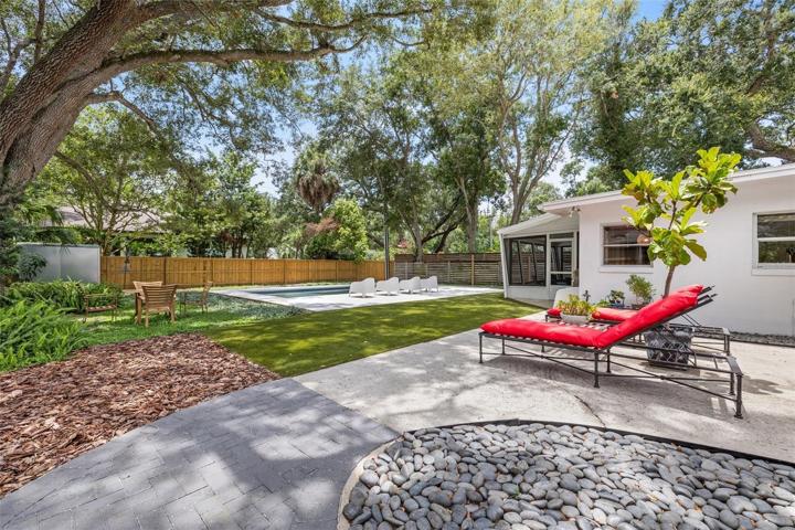 Expansive back yard