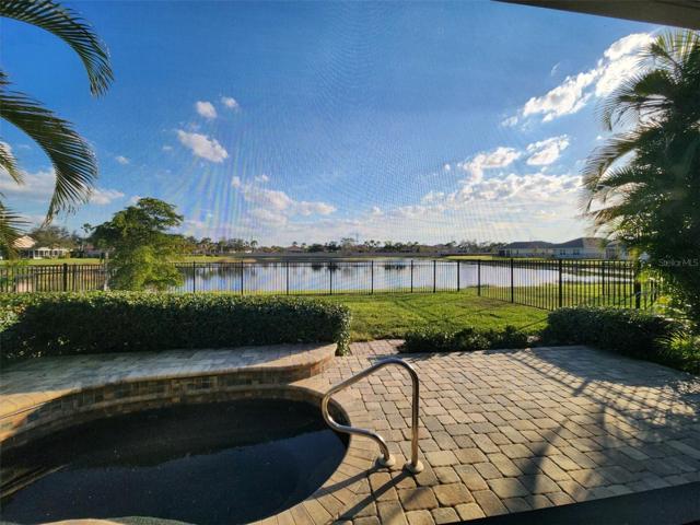 view from your lanai