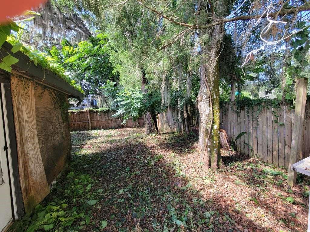 Backyard