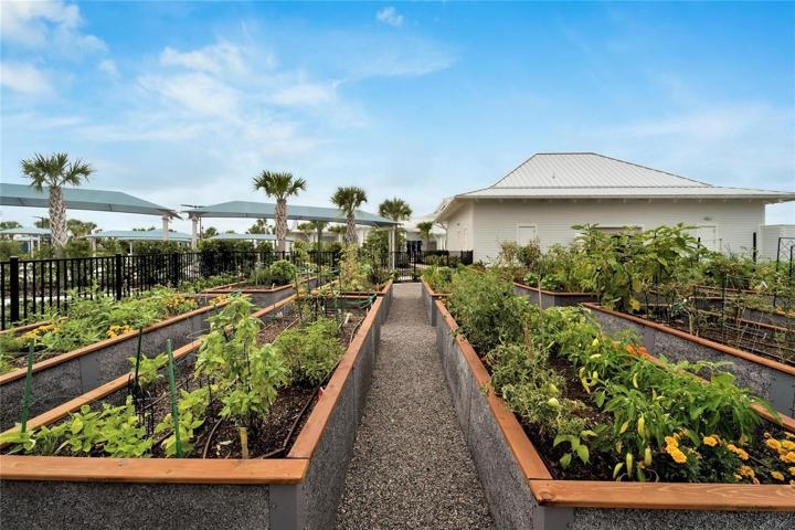 community garden