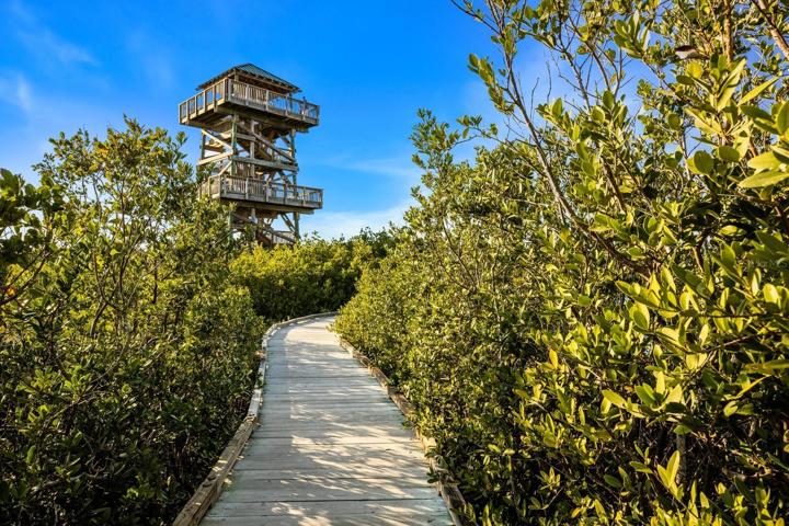 Robinson's Preserve Observation Deck