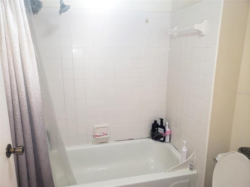 Primary Ensuite Bathroom with Tub and Shower