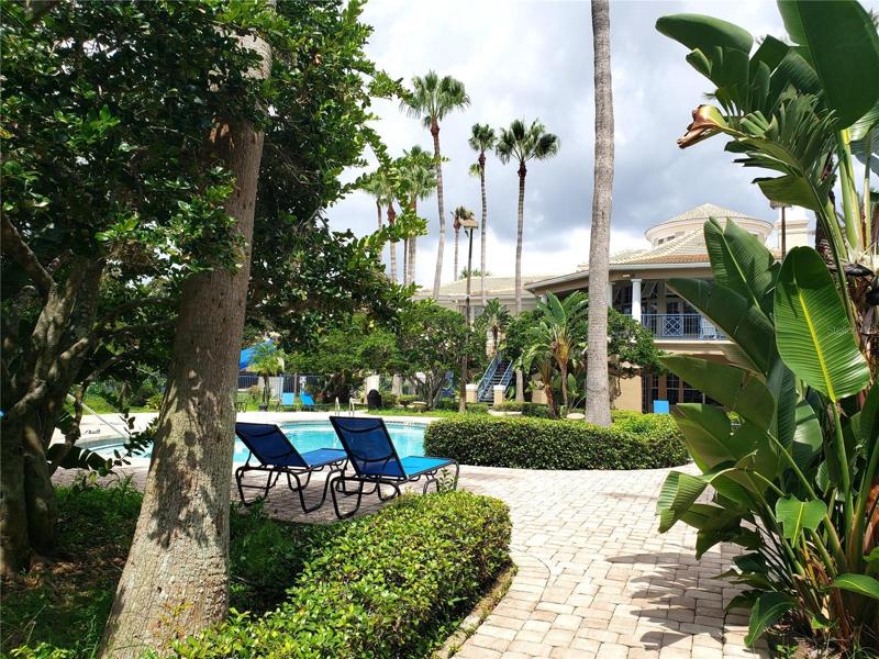 Community Pool and Spa
