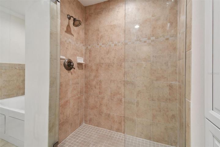 Primary bath shower