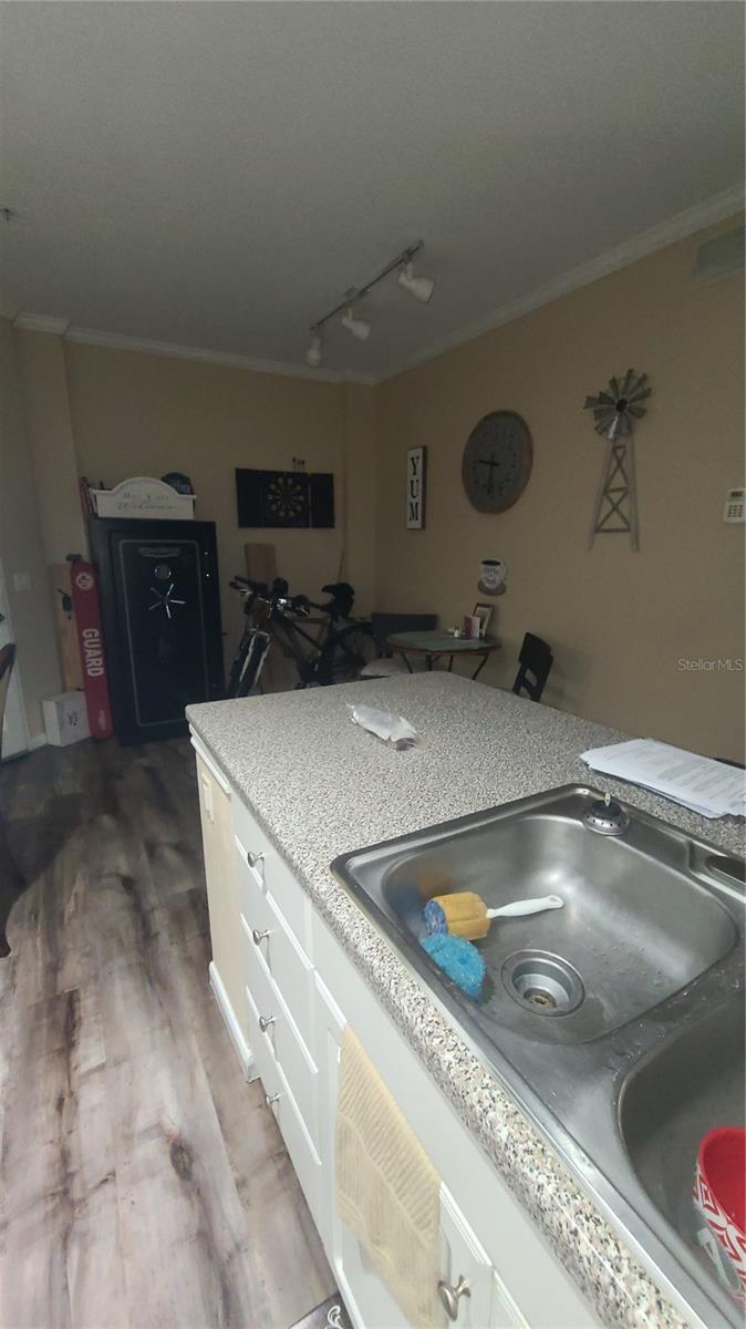 Looking into Dining