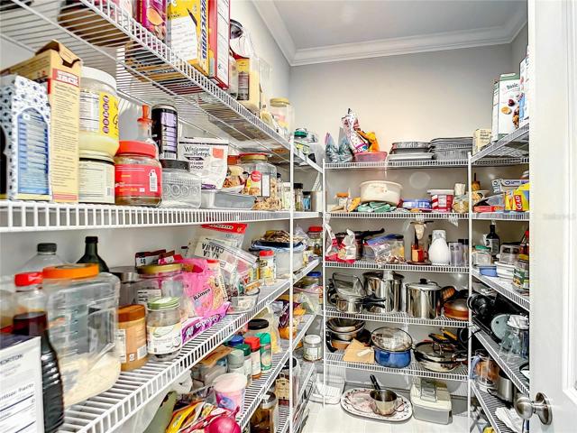 Huge kitchen pantry