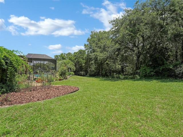 Back yard