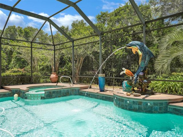 Pool with Dolphin Fountain