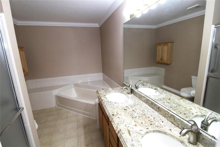 Master bathroom