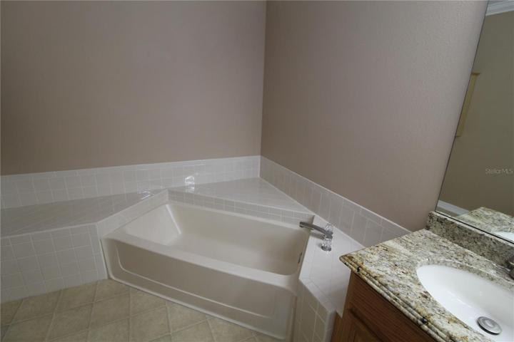 Master bathroom