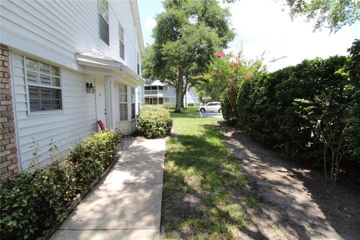Side yard