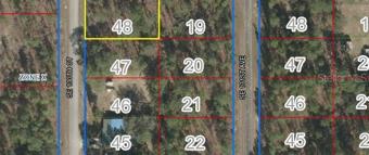 Lot 48 on Right