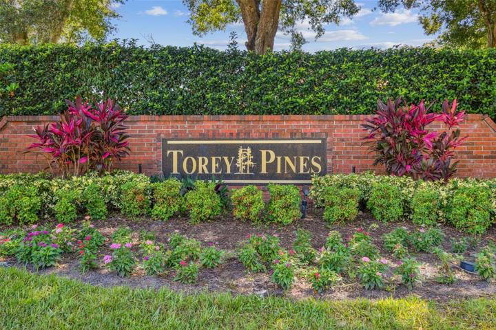 Torey Pines Subdivision