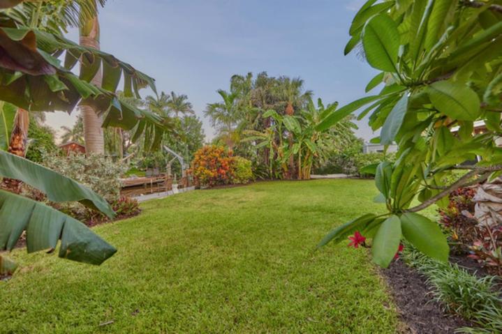 Plumeria to the left. This is RED. The front tree is yellow & white.